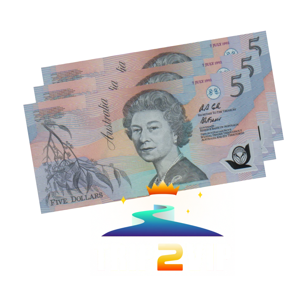 Explore information about transactions on Trip2vip.