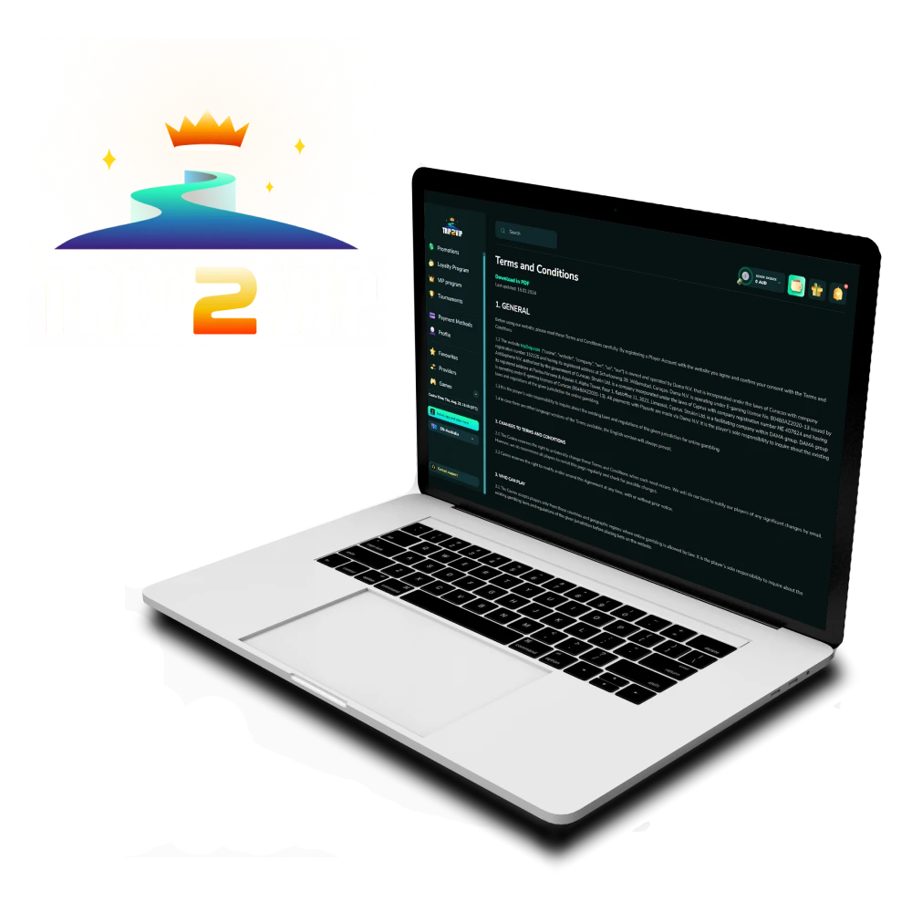 Study the terms of the Trip2vip website.