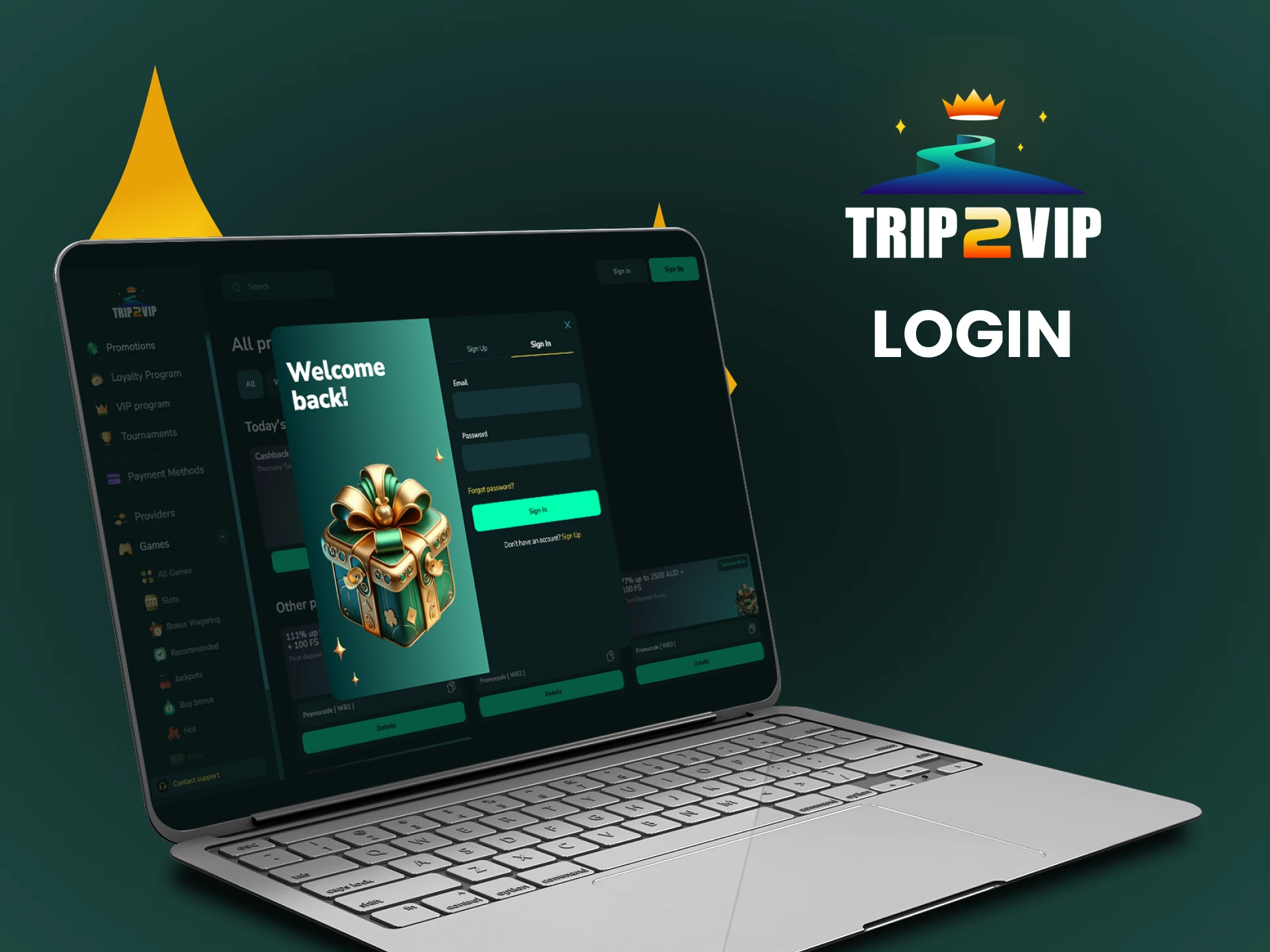 Log in to your personal account on the Trip2vip website.